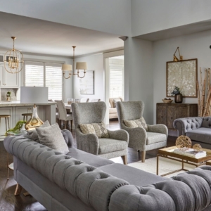 beautiful living room space in a hinsdale home