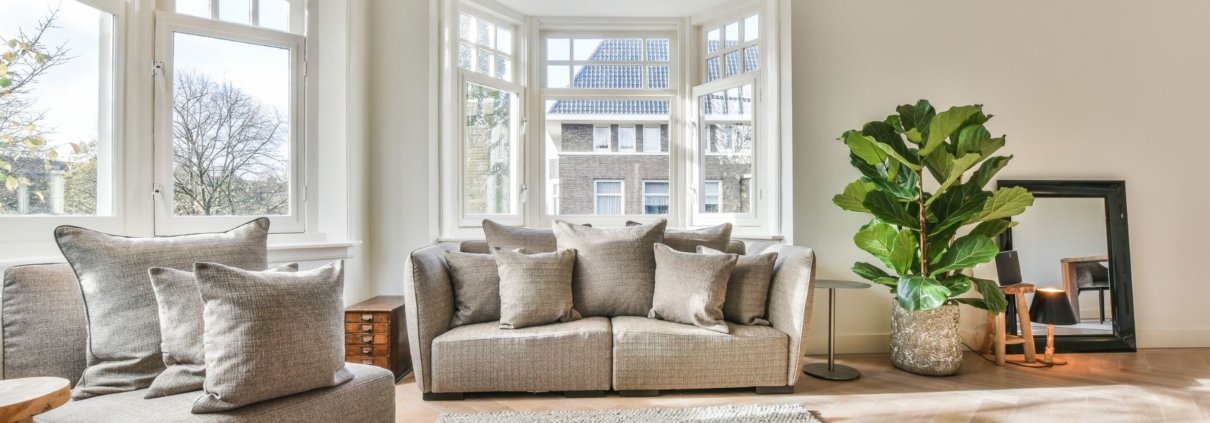 gray and white living room